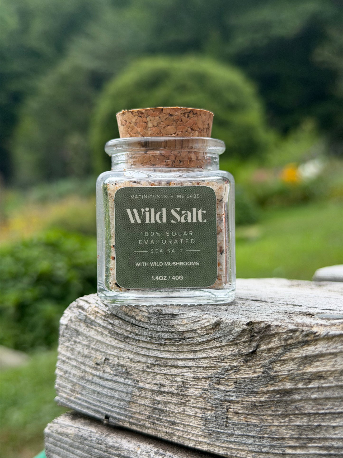 Mushroom Sea Salt